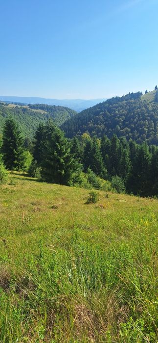 Vand teren in Munții Apuseni