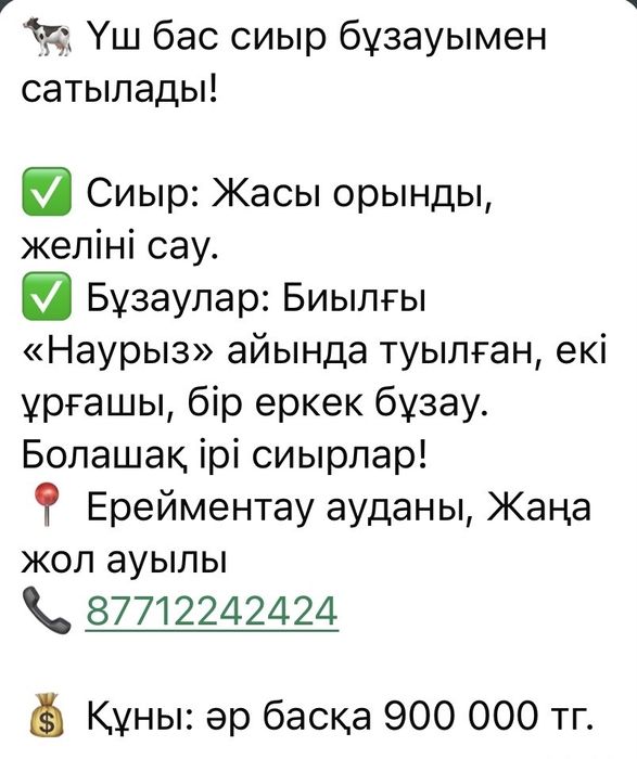 КРС Үш бас сиыр бұзаумен сатылады.