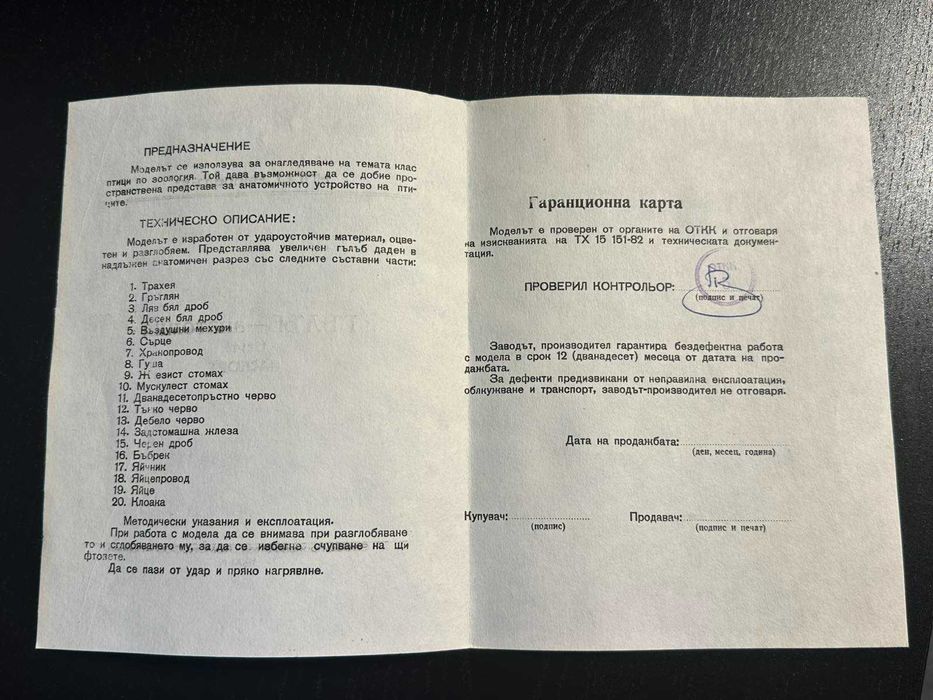 Соц Учебен Анатомичен Модел на Гълъб