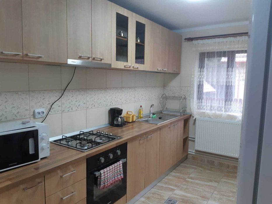 Cabana Ioana Anastasia Arieseni