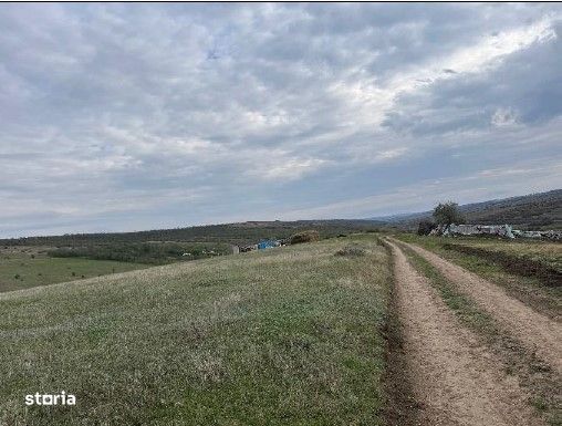 Teren extravilan Perieni, cota parte 6/16 , ID: R2822105