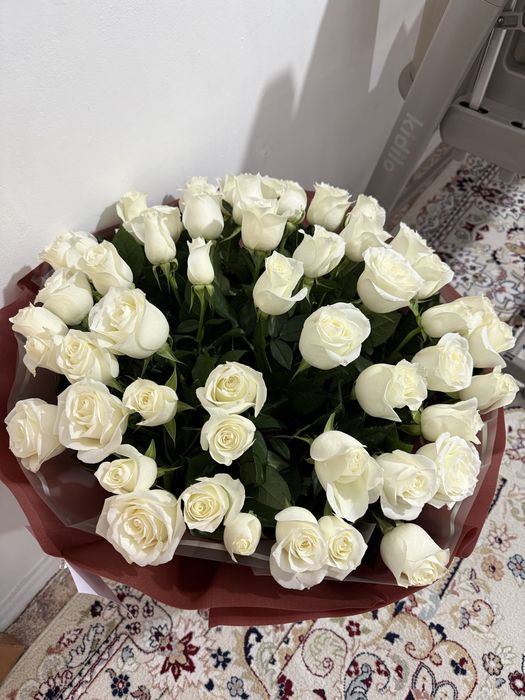 продам розы свежие