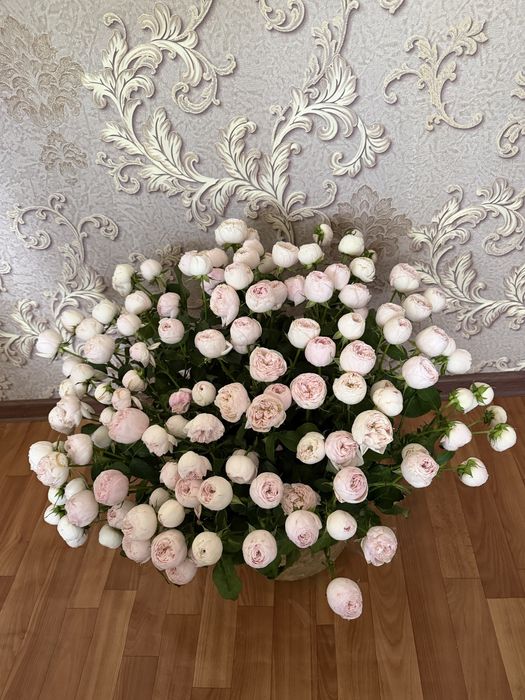 Продам красивую корзину пионов