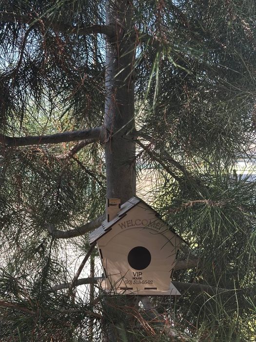 Скворешник для Канарейки