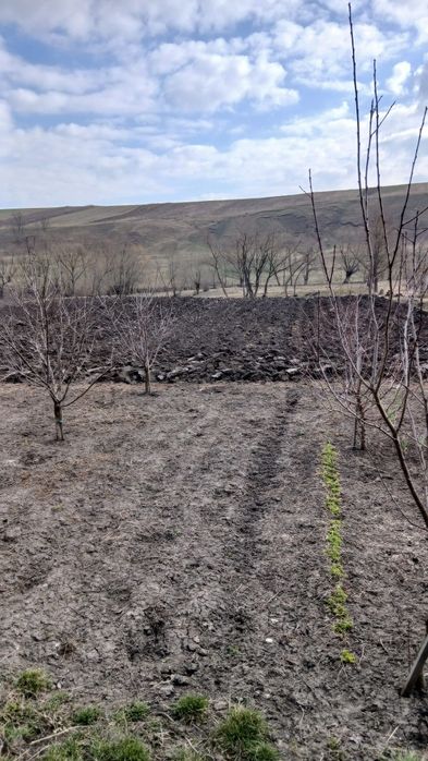 0753549640  Vând casa zona Zaharesti(centru) 15km de Suceava, 15-20 min de suceava