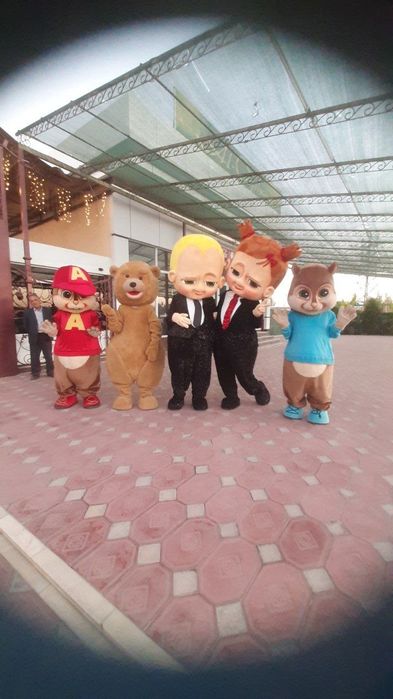 Ayiqchalar arzon sotiladi