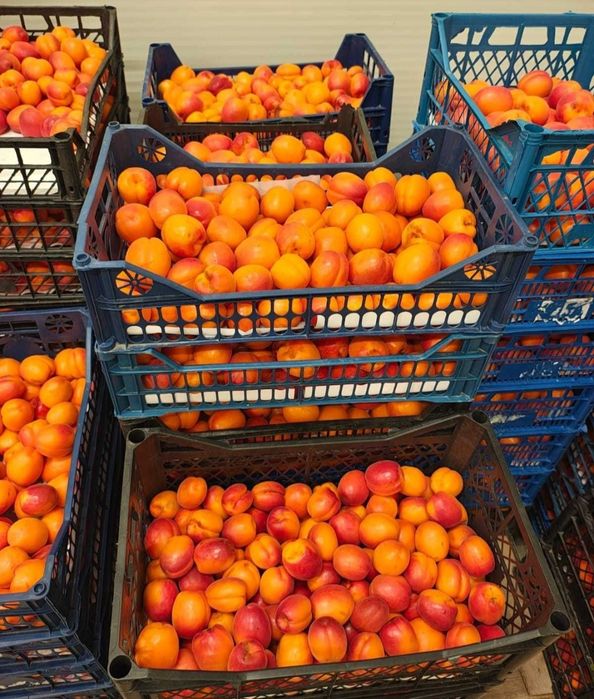 Fructe și legume