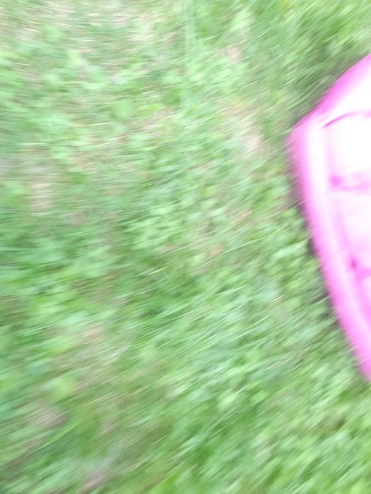 Легло за домашен любимец