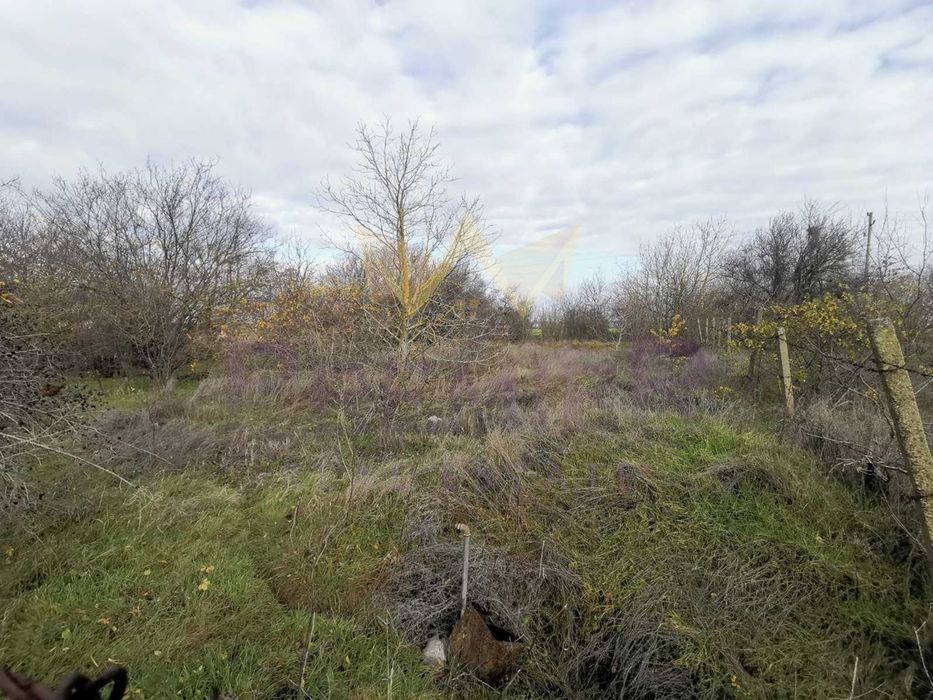 Парцел в Добрич, област-с.Царичино площ 1331 цена 15000