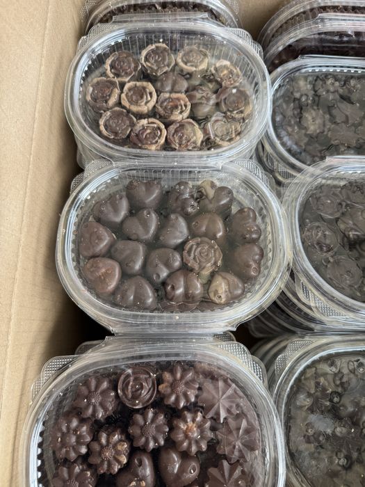 Қымыз шұбат құрт ірімшік