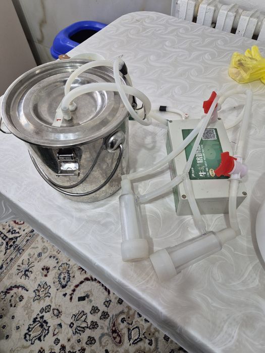 Ешкы лактарымен альпи