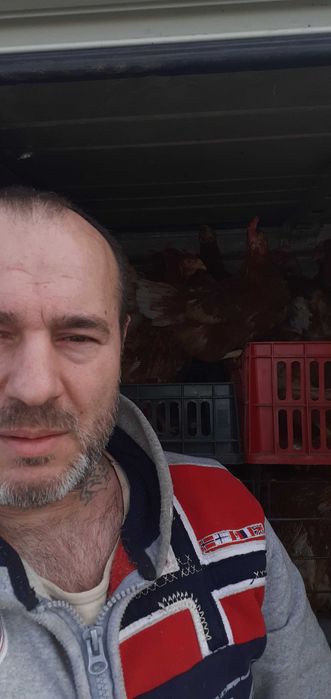 Gaini de oua crescute la sol, bune si de gatit