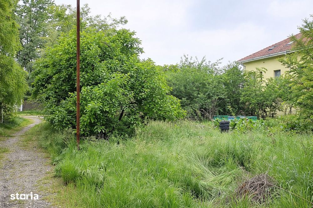 Teren Balotesti - Intravilan Constructii - 833 mp - Utilitati - Lac