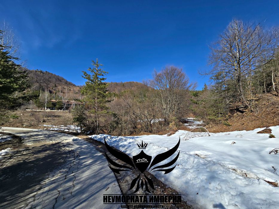 Продавам земя 5000 кв. в село Врата, местност Чуката общ.Асеновград