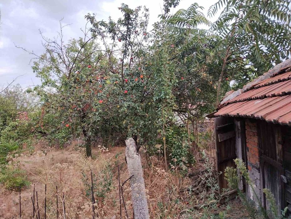 Продава се Къща в с. Ябълково, Област Хасково - 70 кв.м за 437 €/кв.м - Снимка #3