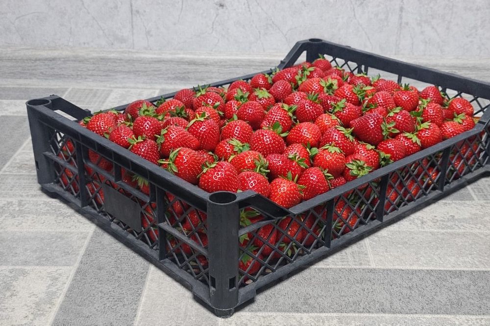 Пластиковые  ящики