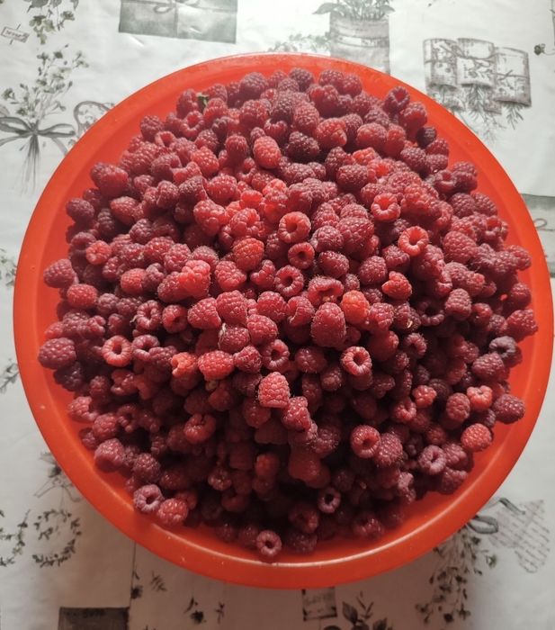Земляника, и малина