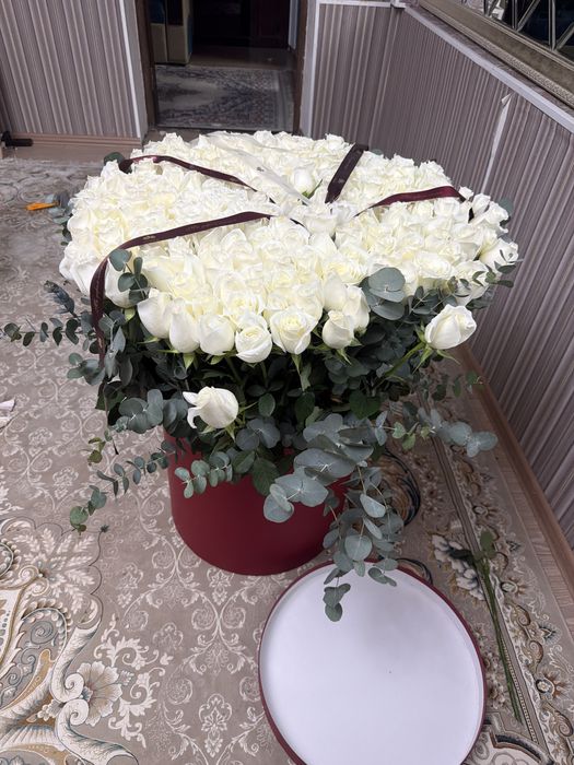 201штук розы свежий