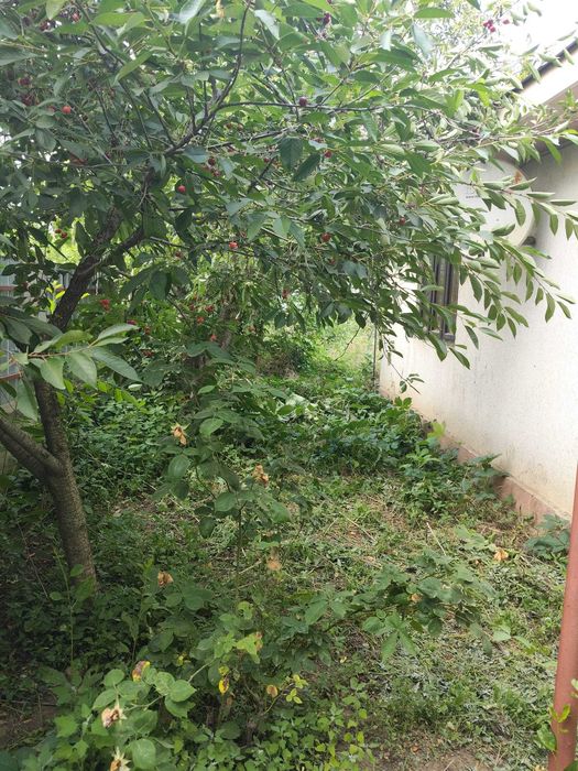 Casa de vanzare sat Odaia Manolache, jud Galati