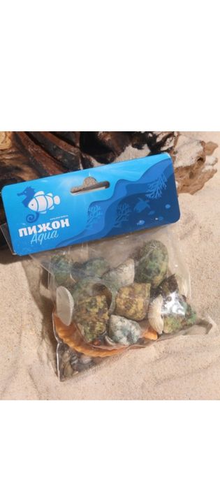 Набор морских ракушек.