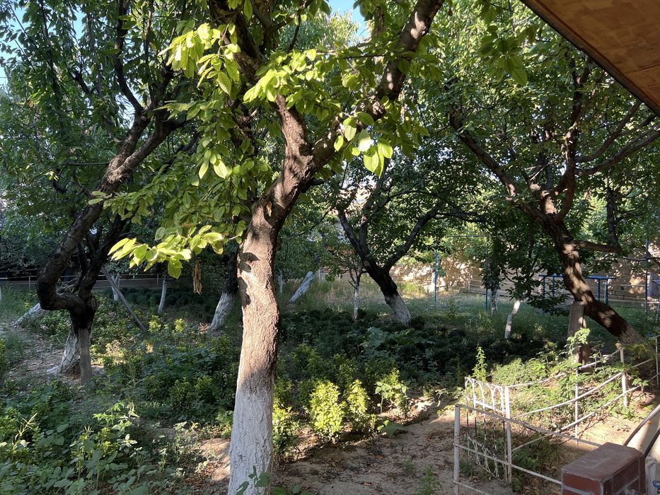 Chigatoy darvoza 13.11sotix yer hovli sotiladi