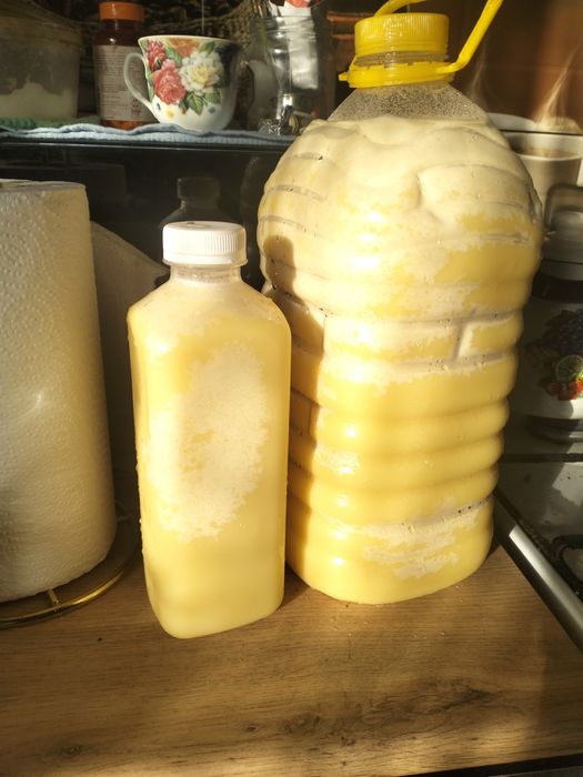 Мед, разнотравие с подсолнухом