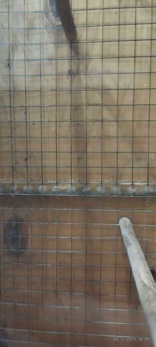 Срочно Продам клетки для попугаев