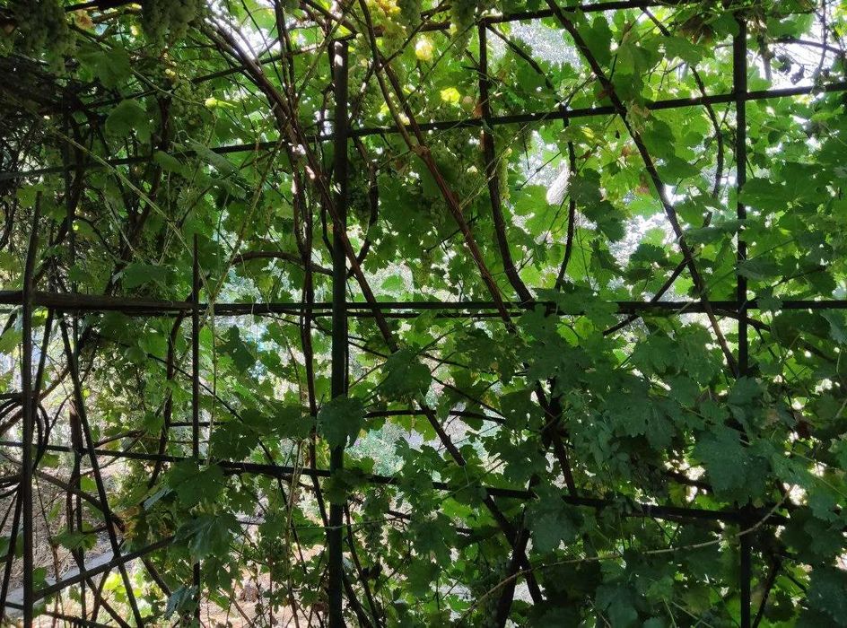 Продам Дачу  на Кайнар-Булак