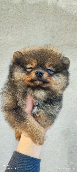 Момчета и момичета