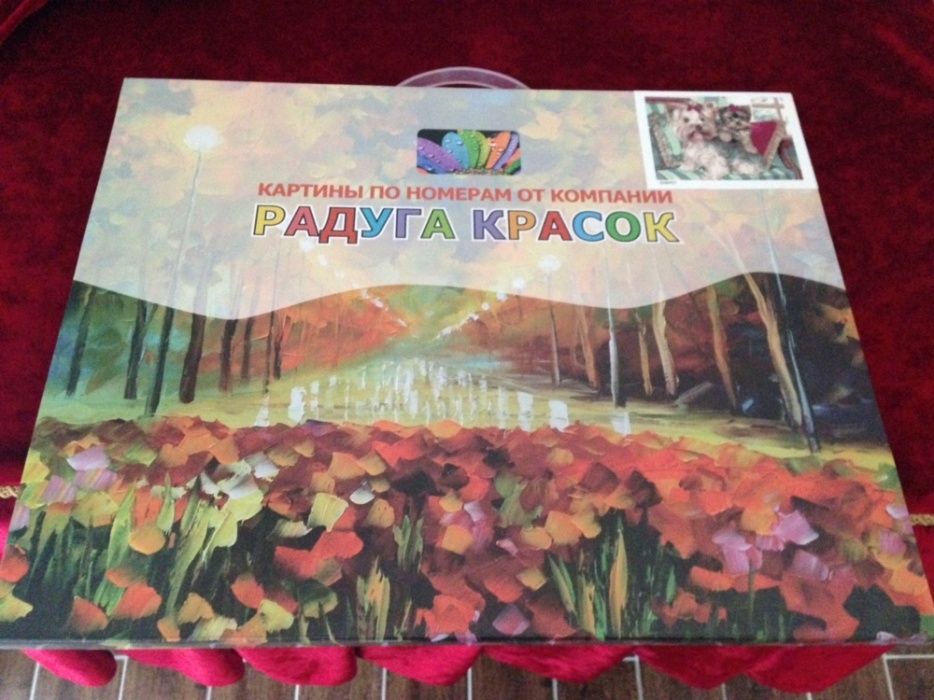 Картина по номерам Йоркширский терьер