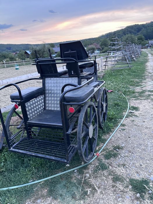 Trasura maraton pentru 1 sau 2 cai