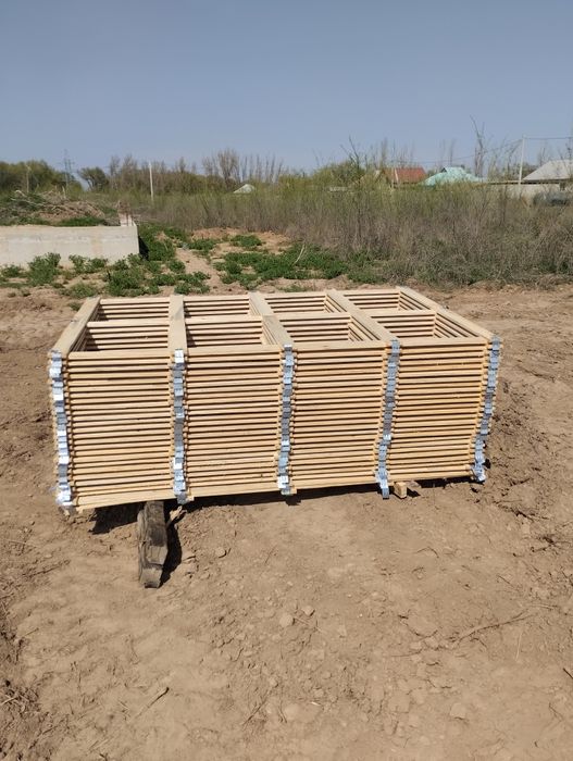 Дерево агаш агаш