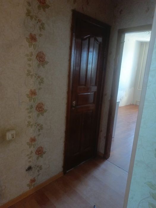 Дәрет отдам бесплатно. Срочно