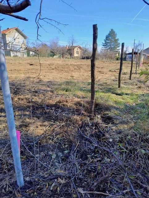 Продава се Парцел в с. Дръмша, Област София-област - 1000 кв.м за 55 €/кв.м - Снимка #5