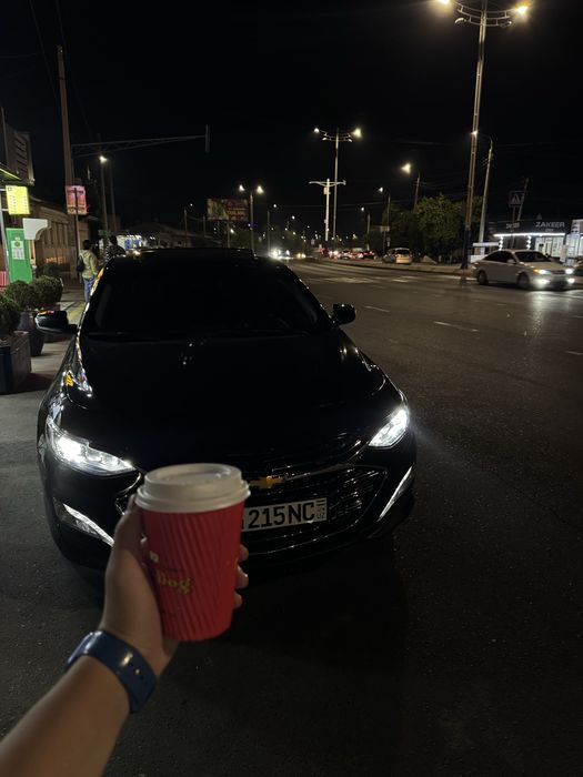 Rent car 215/ Ijaraga avto / прокат авто