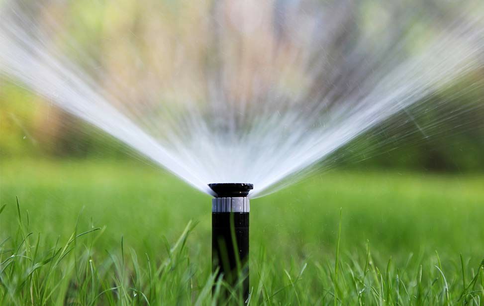 Gazon rulou si sitem de irigati