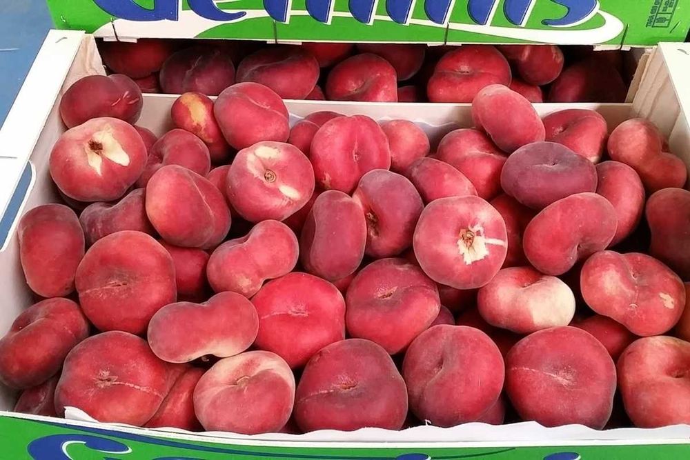 Эртаки анжир ва туксиз кизил Фантазия шафтоли кучатлари сотувда.