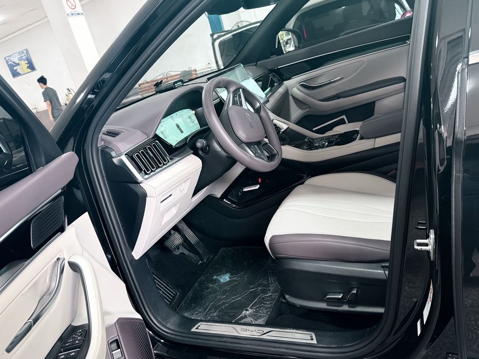 BYD champion smart ideal sosotoyanie ozimniki