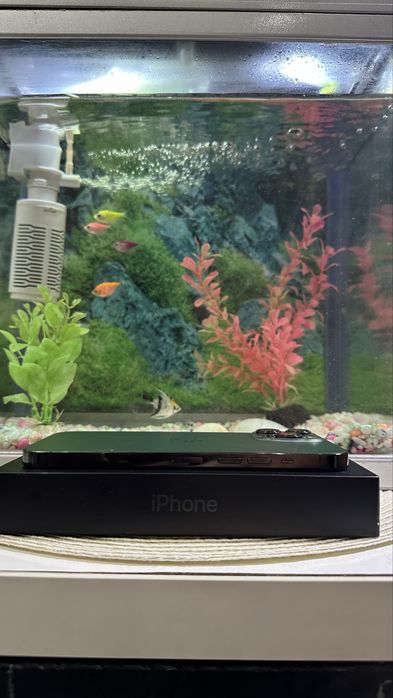 Продам iPhone 13 Pro Max Alpine Green 256 ГБ
