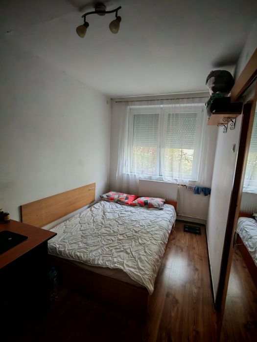 Chirie apartament