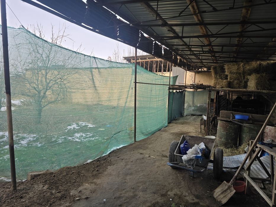 Xasanboy Toshkent sh Yunsobot tum quru yer sotiladi