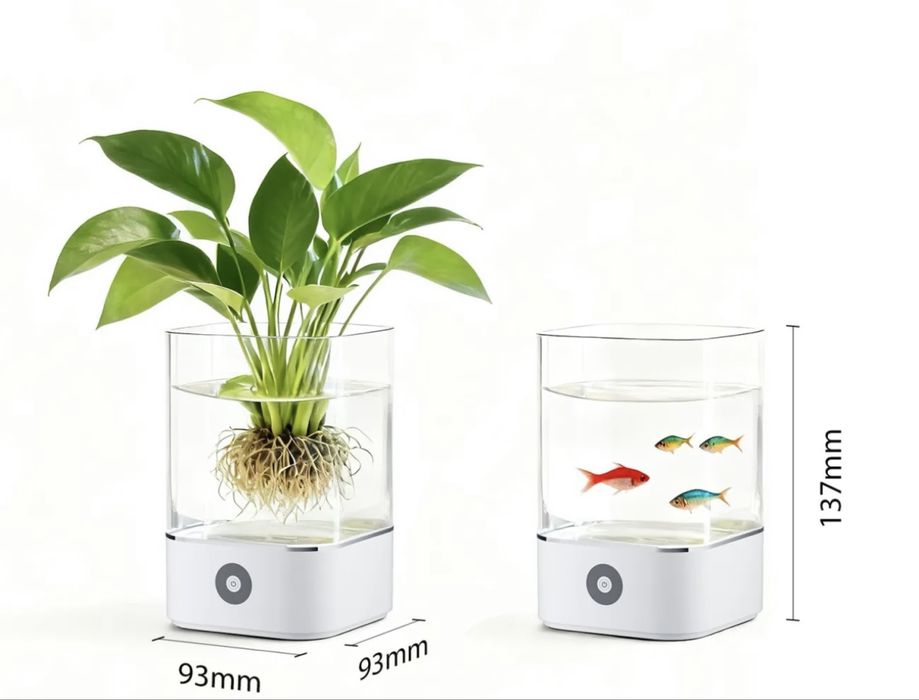 Аквариум с петушком