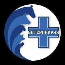 Veterinariya xizmati