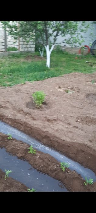 Продам дачу со Агротехснаб