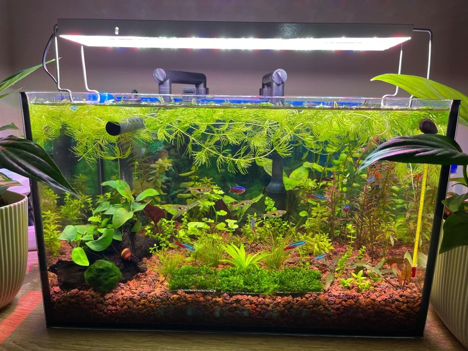 Lampa Custom pentru acvariu, 60 cm, WRGB, 48w