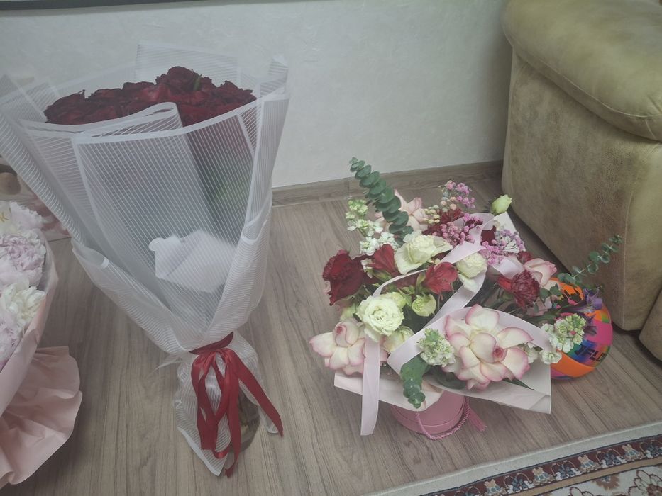 Продам цветы не дорого.