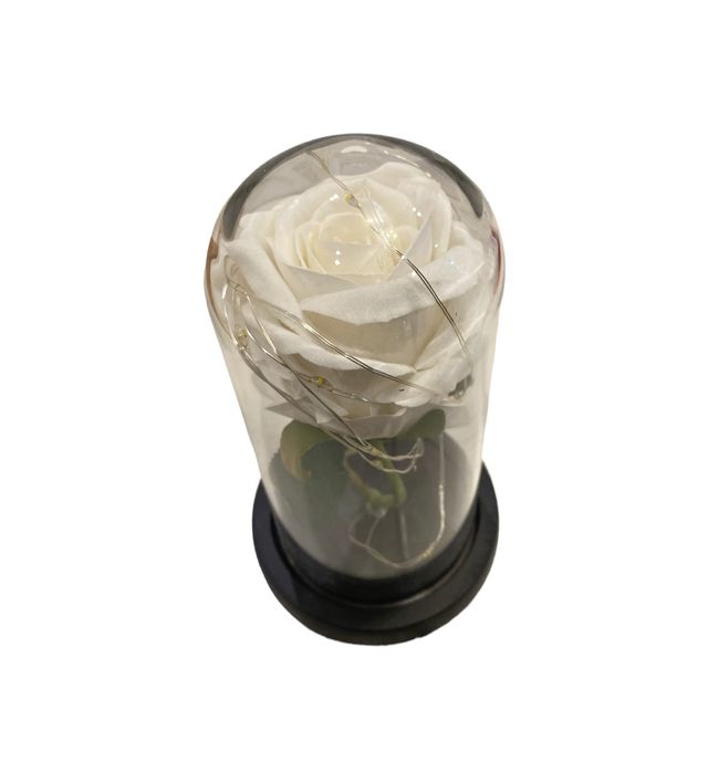 Trandafir in Cutie CADOU CU LED in CUPOLA de Sticla