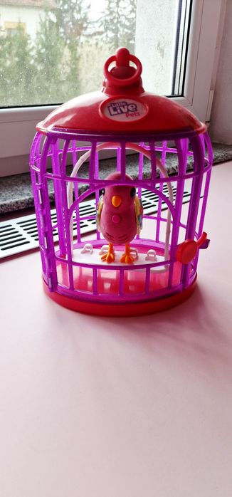 Pasare Little Live Pets