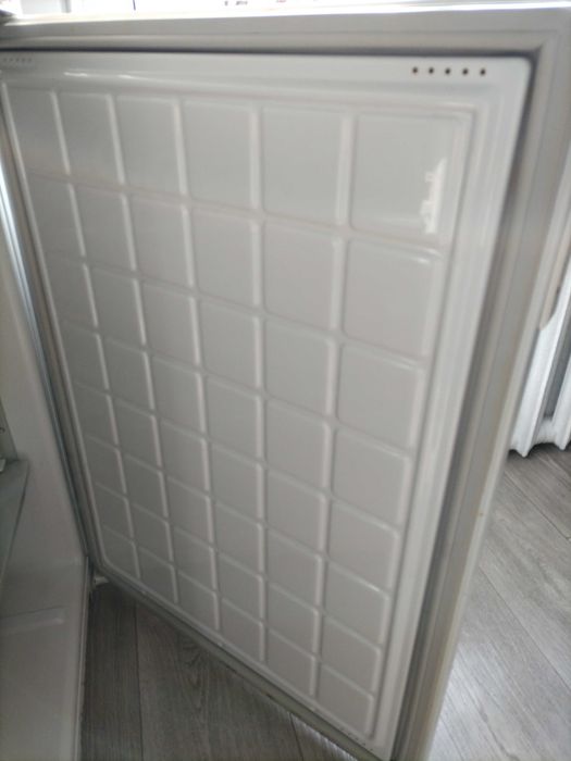 Моразильная камера Бирюса