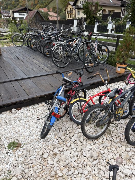 LICHIDARE. Lot biciclete